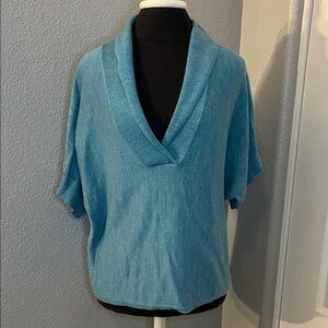 Coldwater Creek Women’s Turquoise Knit Bat Wing Blouse/Sweater V-Neck Size Large